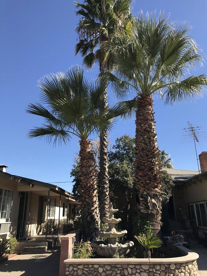Elsinore Hotsprings Motel 레이크엘리노어 외부 사진