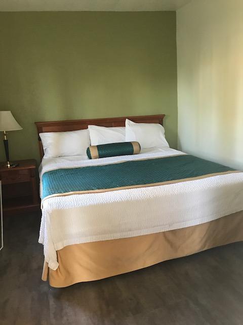 Elsinore Hotsprings Motel 레이크엘리노어 외부 사진
